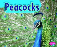 Colorful World Of Animals : Peacocks