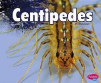 Creepy Crawlers : Centipedes