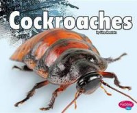 Creepy Crawlers : Cockroaches