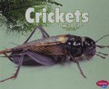 Creepy Crawlers : Crickets