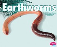 Creepy Crawlers : Earthworms