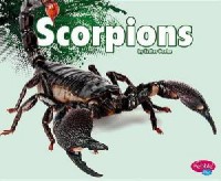 Creepy Crawlers : Scorpions