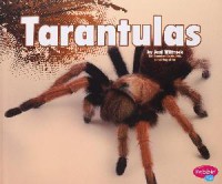 Creepy Crawlers : Tarantulas