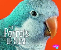 Pets Up Close : Pet Parrots Up Close