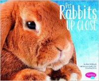 Pets Up Close : Pet Rabbits Up Close