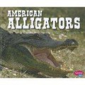 North American Animals : American Alligators