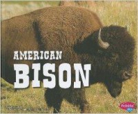 North American Animals : American Bison