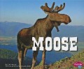 North American Animals : Moose