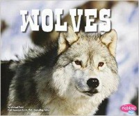 North American Animals : Wolves