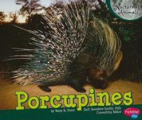 Nocturnal Animals : Porcupines