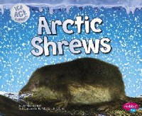 Ice Age Animals : Arctic Shrews