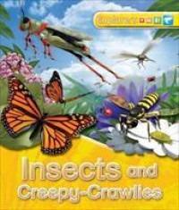 Explorers : Insects And Creepy-Crawlies