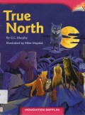 Houghton Mifflin  : True North (Lv Y 6.3.12)