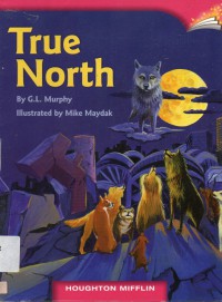 Houghton Mifflin  : True North (Lv Y 6.3.12)