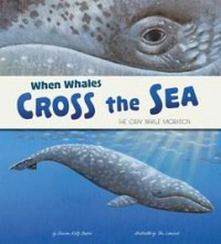 When Whales Cross The Sea. The Gray Whale Migration