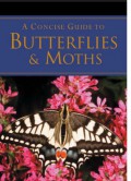 A Concise Guide To Butterflies & Moths