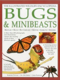 The Illustrated Wildlife Encyclopedia : Bugs & Minibeasts