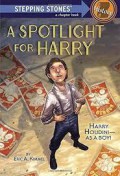 Stepping Stones History : A Spotlight For Harry