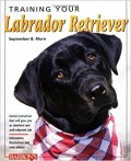 Training Your Labrador Retriever