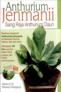 Anthurium Jenmanii Sang Raja Anthurium Daun