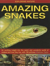 Exploring Nature : Amazing Snakes