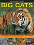 Exploring Nature : Big Cats