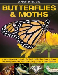 Exploring Nature : Butterflies & Moths