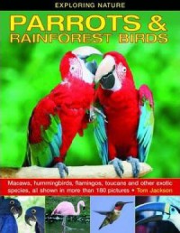 Exploring Nature : Parrots & Rainforest Birds