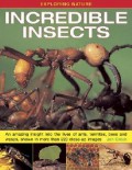 Exploring Nature : Incredible Insects