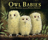 (Big Book) Owl Babies