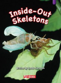 Inside-Out Skeletons (Key Links : Purple)