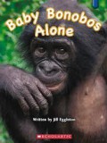 Baby Bonobos Alone (Key Links : Blue)