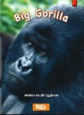 Big Gorilla (Key Links : Red)