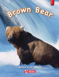 Brown Bear (Key Links : Red)