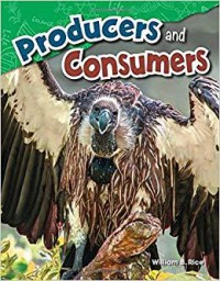 Producers And Consumers