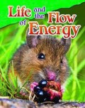 Life And The Flow Of Energy