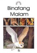 Belajar Tentang : Binatang Malam