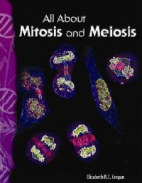All About Mitosis And Meiosis