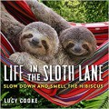 Life In The Sloth Line