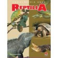 Ensiklopedia Anak : Reptilia