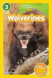 National Geographic Kids Lv. 3 : Wolverines