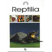 Belajar Tentang : Reptilia