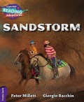 Cambridge Reading Adventures : Sandstorm
