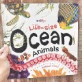 Life-size : Ocean Animals