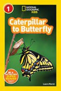 National Geographic Kids : Caterpillar To Butterfly