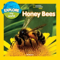 National Geographic Kids : Explore My World : Honey Bees