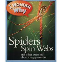 I Wonder Why: Spider Spin Webs