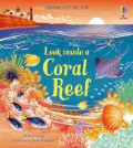 Look Inside A Coral Reef