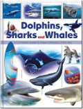 Dolphins, Sharks And Whales