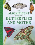 The Magnificent Book of Butterflies And Moths